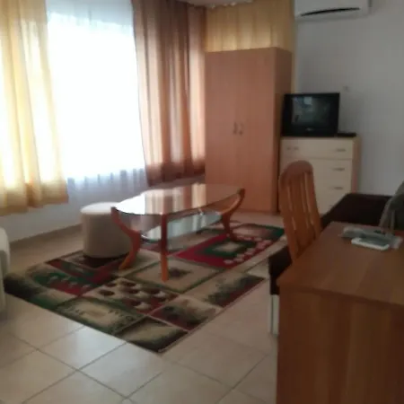Pontica Apartament *